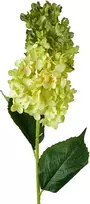 Mondex Since 1986 VIRIDIS gėlė ilga hortenzija 80cm