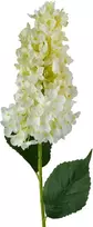 Mondex Since 1986 VIRIDIS gėlė ilga hortenzija 80cm