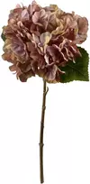 Mondex Since 1986 VIRIDIS dirbtinė gėlė hortenzija 35 cm