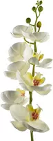 Mondex Since 1986 VIRIDIS dirbtinė gėlė orchidėja 85 cm balta