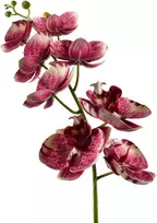 Mondex Since 1986 VIRIDIS dirbtinė gėlė orchidėja 85 cm