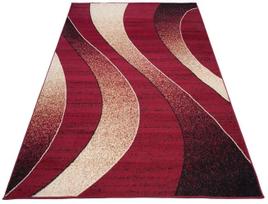 Dywany Chemex 300x400 spalvingas BCF pliušinis kilimas k57r