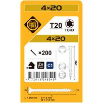 Medsraigtis, universalieji Forte Tools ZN, TX20, 4 x 20 mm, balta sp., 200 vnt.