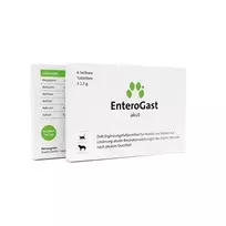ENTEROGAST, pašaro papildas nuo viduriavimo, šunims ir katėms - 6tab.