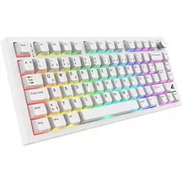 Sharkoon SGK55W SKILLER belaidė žaidimų klaviatūra, 75% išdėstymas, PBT klavišai, balta
