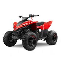 Vaikiškas keturratis CFMOTO CFORCE 110 BASIC