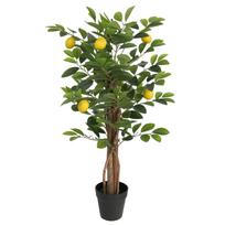 Dirbtinis citrinmedis su trimis kamienais, žalias, 85cm, PP