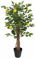 Dirbtinis citrinmedis su trimis kamienais, žalias, 85cm, PP