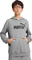 Puma Džemperis Paaugliams Ess No.1 Logo Hoodie Pilkas 684909 03