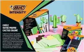 Rinkinys popierinių kaktusų su flomasteriais ir žymekliais BIC