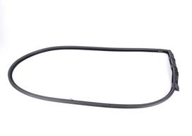 BMW 3 E92 priekinių kairės pusės durų oro juostos sandariklis originalus 51767175783