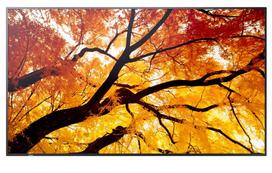 SHARP Monitor MultiSync M502 50 inches 550cd/m2 24/7