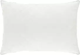 Pagalvė FULDA 50 x 70 cm 100% žąsų pūkai ir plunksnos Balta