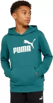 Puma Džemperis Paaugliams Ess No.1 Logo Hoodie Žalias 684909 41