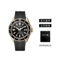 „CITIZEN PROMASTER“ šviesomis maitinamas kvarcinis mechanizmas, guminis PU dirželis, vyriškas laikrodis, juodas ciferblatas, BN0193-17E Black Dial black