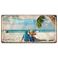 DORA Tin Sign Flag Metal Retro Signs with Aesthetic Appeal Ideal Travel Souvenirs To Beautify Wall Decoration In Home Showcasing Vintage Style 15x30cm(5.9x7.8inch)
