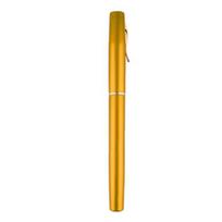 Portable Mini Telescopic Pocket Pen Ice Fishing Rod Fish Pole + Reel Combo auksinė