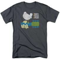 Little Dragon Kids T-Shirt - GOT Thrones House Dragon Child's Tee S