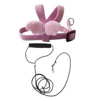 Bird Flight Harness with Leash Adjustable Parrot Flying Harness Cute Angel Wings Harness for Parrots Pigeons Lovebird Budgerigar Cockatiel Outdoor S rožinė