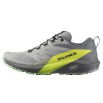 SALOMON Sense Ride 5 'Grey' L47144200 43⅓