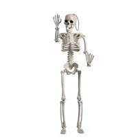 Posable Halloween Skeleton Full Body Halloween Skeleton Hangings Spooky Skeletons for Halloween Haunted House Party Home 1 gray