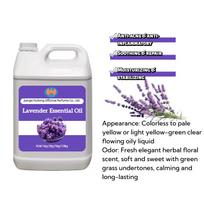Wholesale 100% Pure  Lavender Essential Oil Bulk Price for All Skin Types & Hair Care 1 L