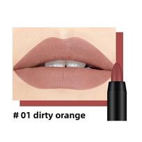 Matte Rotating Lipstick Pen 19 Shades, Moisturizing Easy To Color oranžinė