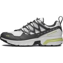 SALOMON ACS+ Running Shoes Unisex Low top Gray Sneakers 478581 41⅓ pilka spalva