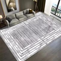 Modern Nordic Style Carpet for Living Room Grey Bedroom Decoration Large Area Rug Short Plush Floor Lounge Mat Washable Antiskid 60*90cm