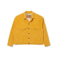 Levis X The Simpsons Vienspalvis Velūro Striukė Vyriška Striukė Geltona A20540001 S multi