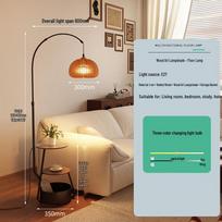 OEING Vintage Living Room Floor Lamp