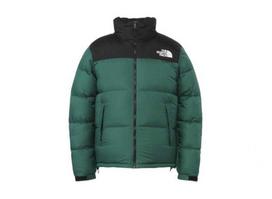 The North Face Nuptse striukė 2024 TNF žalia L
