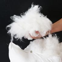 OEING Feather Silk Cotton Body Pillow Insert 160cm x 50cm (8 jin) balta