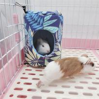 Squirrel, sugar bag, flying squirrel, flower branch, rabbit, Dutch pig, guinea pig, warm cotton nest, small pet, hanging nest