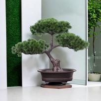 Artificial Pine Bonsai Potted Plant Decoration Desktop Display Durable Realistic