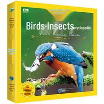 Colorful Childhood Birds & Insects Encyclopedia