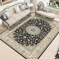 Modern Chinese Living Room Persian Carpet Simple Bedroom Decoration Area Rug Large Porch Door Mat Absorbent Non-slip Bath Mat 80*120cm