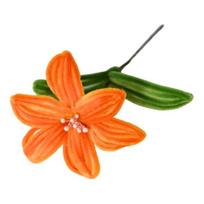 Finished Pipe Cleaner Flower Craft Handmade Artificial Lily Flower Valentine's Day Gifts for Women Mom Grandma Girlfriend on Birthday Mother's oranžinė