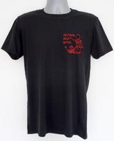 Neutral Milk Hotel T-shirt In the Aeroplane Over the Sea t-shirt, Unisex Shirt 2XL