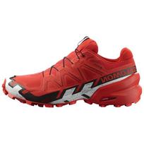 SALOMON Speedcross 6 Gore Tex 'Raudonas' / L00 417390 42⅔