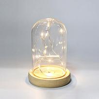 Glass Dome Wooden Base With LED Light Landscape Vase Dry Flower Cloche Cover DIY Succulent Plants Container Holder Bedroom Decor 1pc