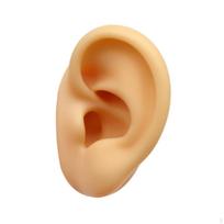 Silikoninis ausies modelis Lankstus netikras dirbtinis auskarų ekspozicijai Imitacinis vitrina Right Ear