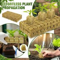 High Quality Material These Cubes Are Made From A Soilless Growing Substrate, Which Firstly Improves Seed And Secondly Is Perfect For Hydroponic Garde One Size