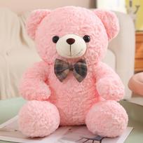 35/50/60CM Cute Sit Bear Plush Toys 5Colour Bear Plushie Pillow Stuffed Soft Dolls for Kids Girls Lover Gifts Room Decor 35cm rožinė