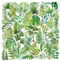 50PCS Transparent Green Plants PET Phone Sticker Aesthetic Tear Open Decoration DIY Colored Laptop Luggage Graffiti Decals