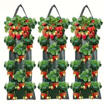 3pc Hanging 8-Hole Strawberry Planting Bags Made Of PE Material, One Size žalia