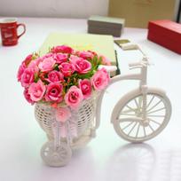 2017  Plastic White Tricycle Bike Design Flower Basket Storage Party Decoration