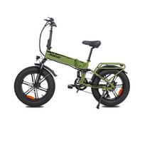 Elektrinis dviratis HedaTX PX6 Suaugusiųjų 1000W Vyriškas Baterija E-Kalnų ebike 48 v12ah, 20 Colių Storos Padangos Vyriškas Elektrinis Dviratis žalia