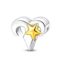 Dvylika Zodiako ženklų pakabukai karoliukai Pasidaryk pats papuošalai Apyrankės Karoliai Aksesuarai Variniai karoliukai