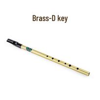 Geipel Beginner Irish Tin Whistle, 6-Hole, C & D Key, High-Pitched Metal Vertical Flute